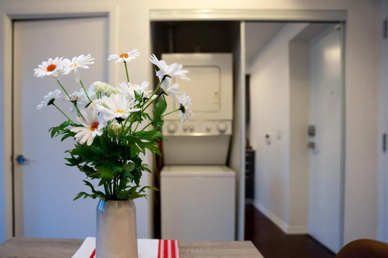 Appartamento Lovely 1 Bed In Central Toronto